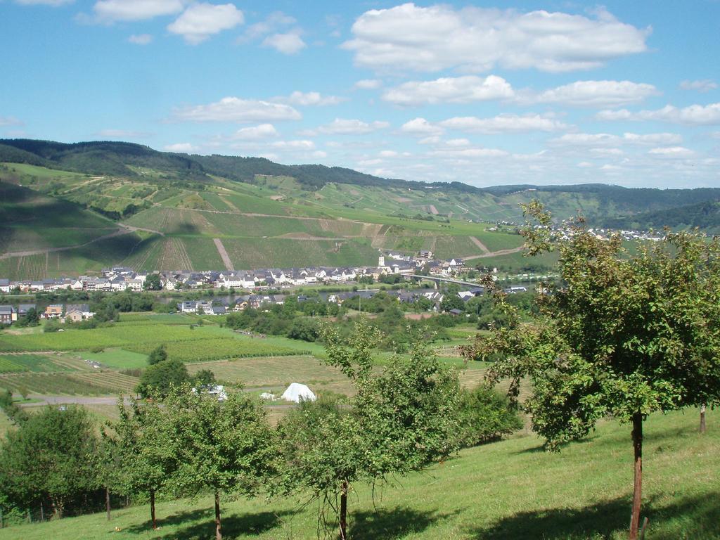Sch Ne Wohnung In Der Moselregion Kinheim Eksteriør bilde